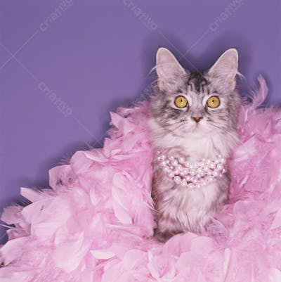 Animais em Festa (39)