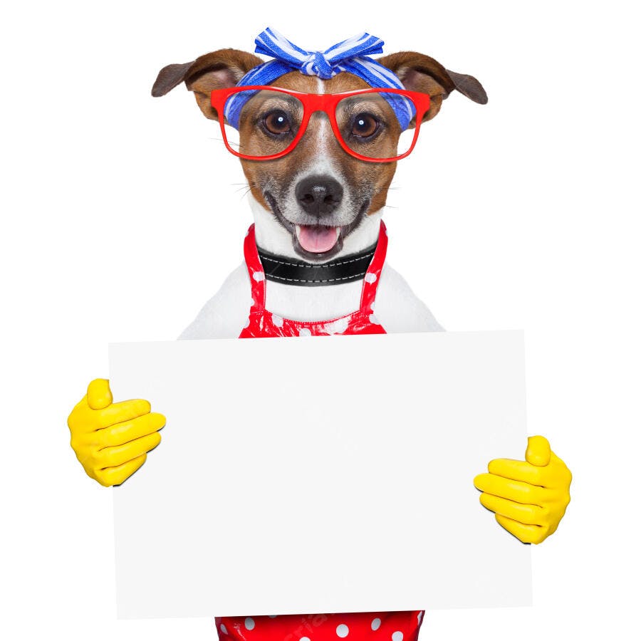 Cachorro com avental segurando cartaz branco