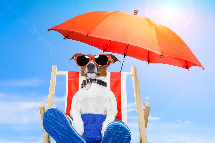 Cachorro relaxando na praia com óculos e guarda-sol
