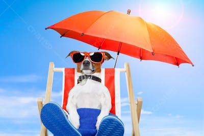 Cães Divertidos (6)