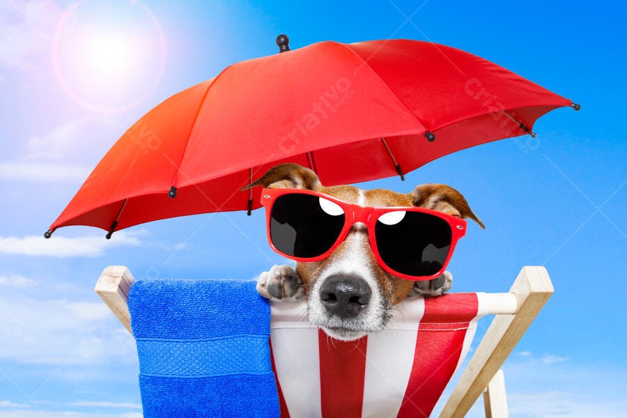 Cachorro de óculos na praia com guarda-sol vermelho