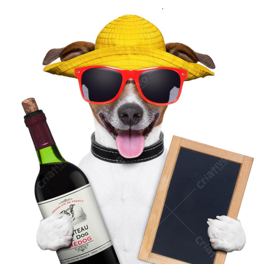 Cachorro com óculos e chapéu segurando vinho e quadro