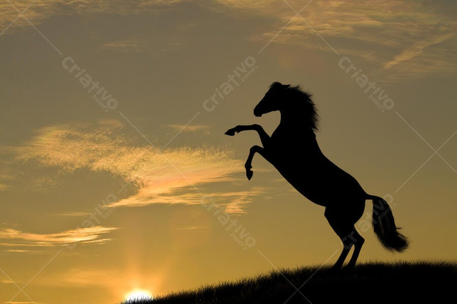 Silhueta de cavalo se erguendo ao pôr do sol