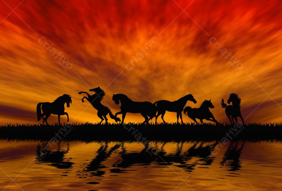 Silhuetas de cavalos ao pôr do sol