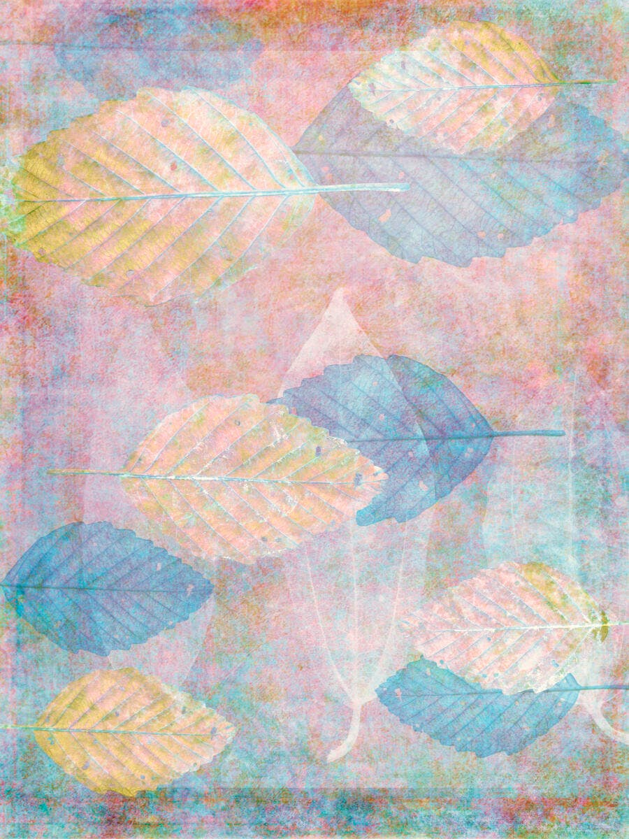 Folhas secas em tons pastel sobre fundo texturizado