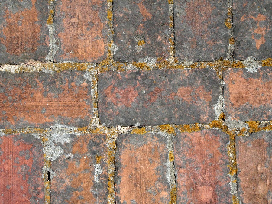 Tijolo antigo com musgo e textura desgastada