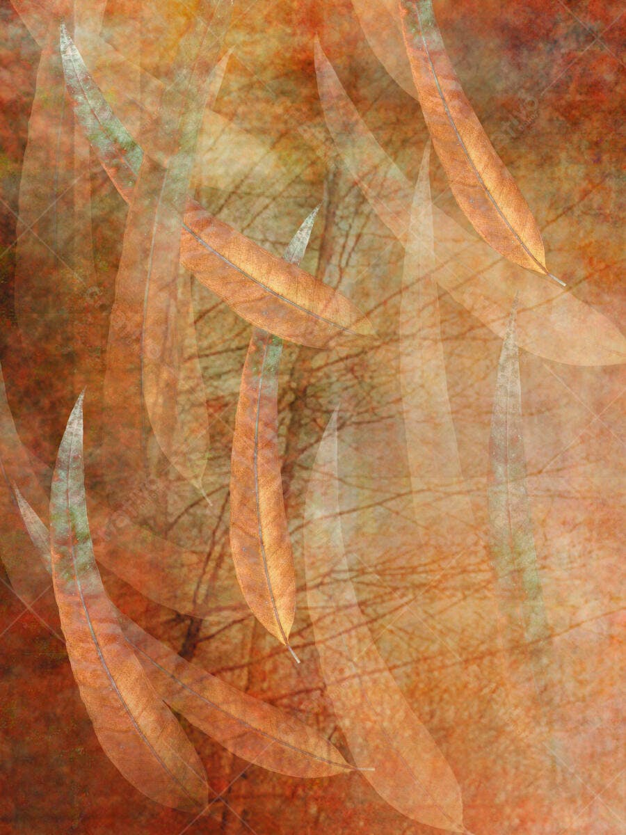 Folhas secas sobre fundo outono
