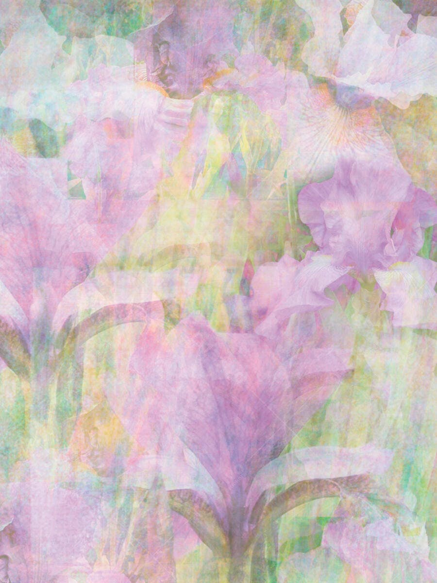 Íris Pastel Abstrato Flores Primavera