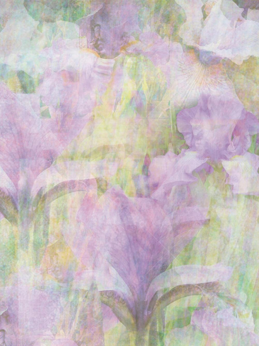 Tecidos Estampados (2)