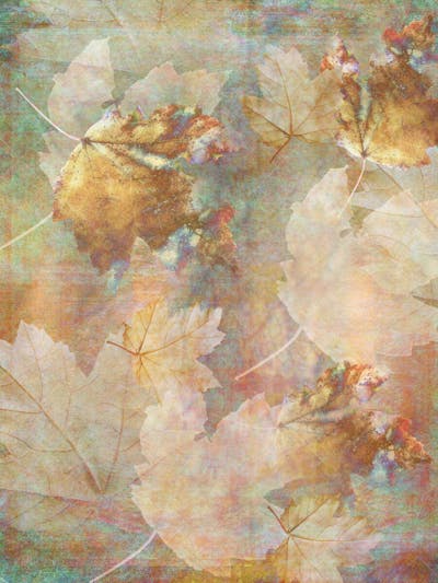 Tecidos Estampados (60)