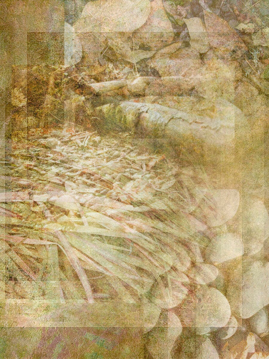 Textura abstrata de folhas e madeira em tons terrosos