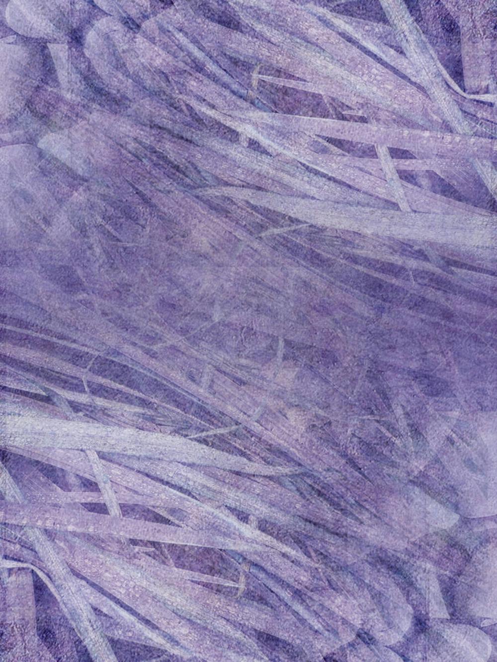 Tecidos Estampados (10)