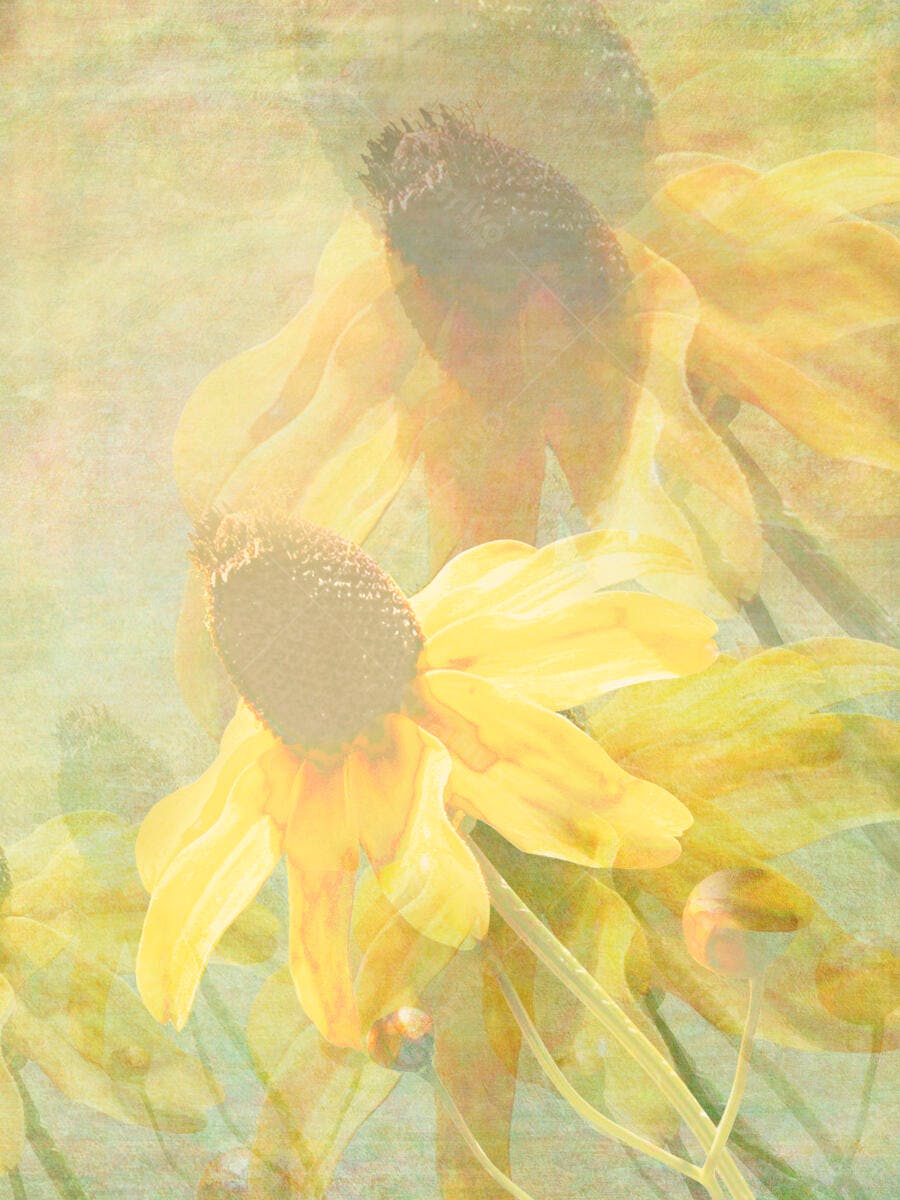 Flores amarelas em tons pastel fundo vintage
