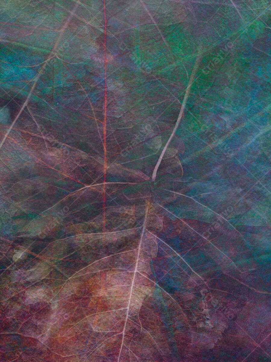 Folha seca tons escuros textura abstrata