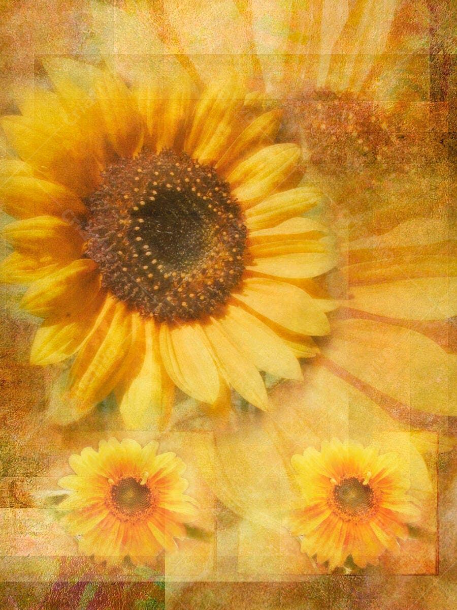 Girassóis e tons amarelos em textura vintage