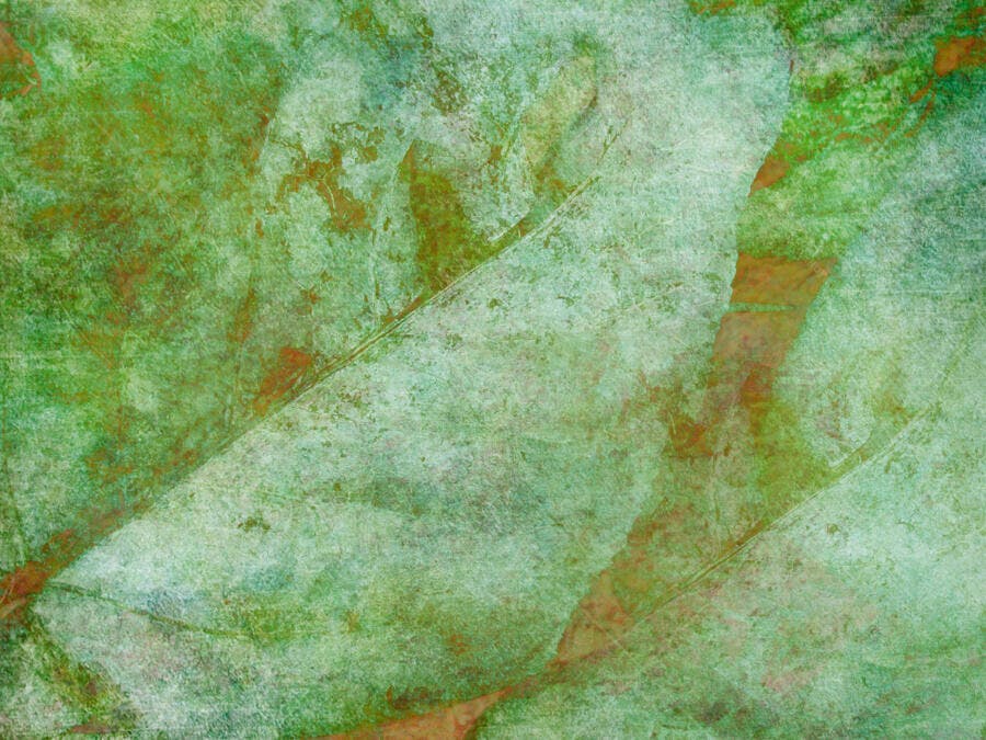 Textura Abstrata Verde e Marrom