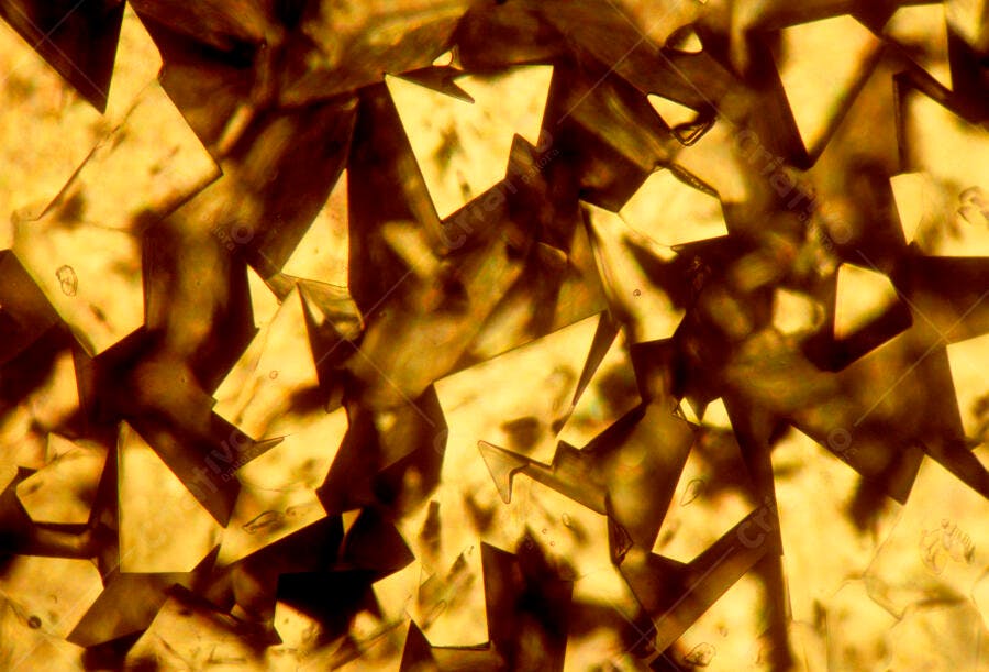Cristais dourados sob microscópio