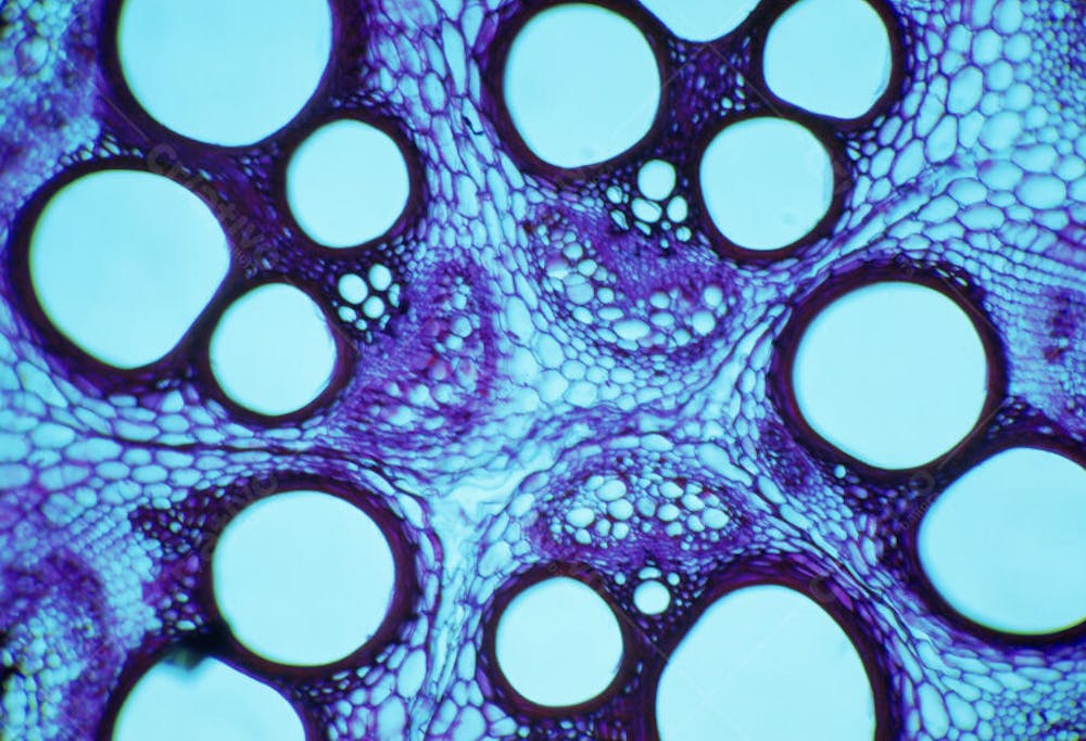 Microprismas (47)