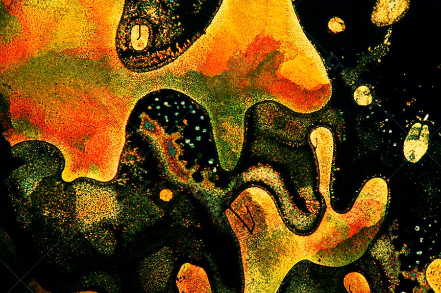 Arte Abstrata em tons de laranja e verde