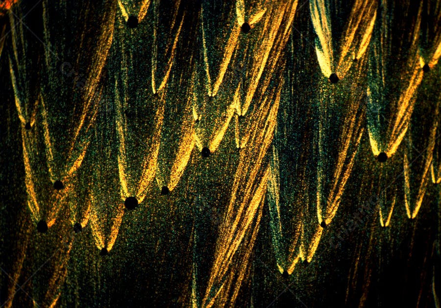 Textura Abstrata Dourada e Verde Escuro
