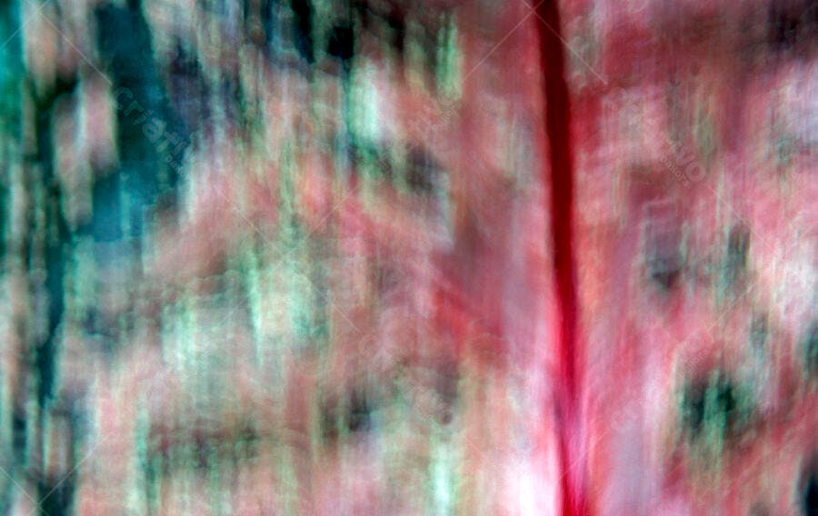 Abstração em tons de vermelho e verde