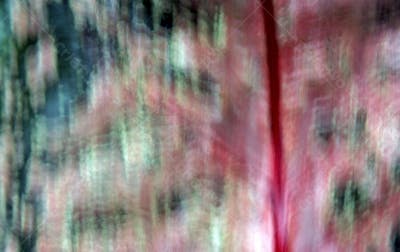 Fundos Abstratos (65)