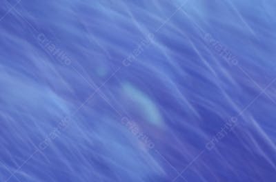 Fundos Abstratos (74)