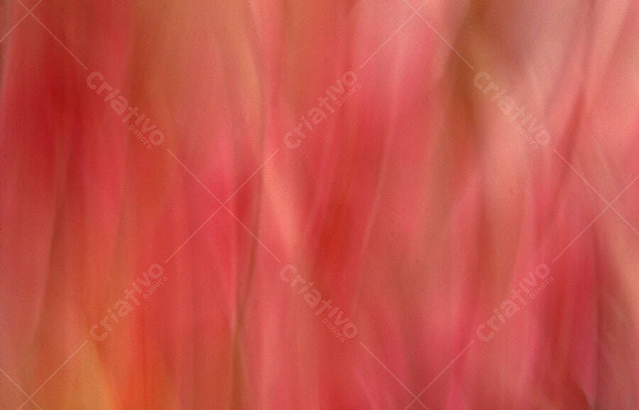 Textura Abstrata em Tons de Vermelho e Laranja