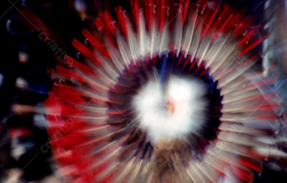 Fundos Abstratos (44)