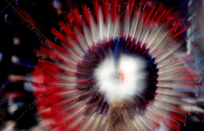 Fundos Abstratos (44)