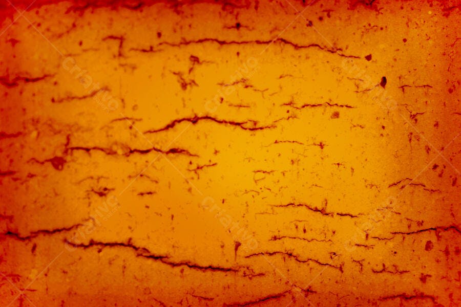 Textura Abstrata Laranja e Vermelha