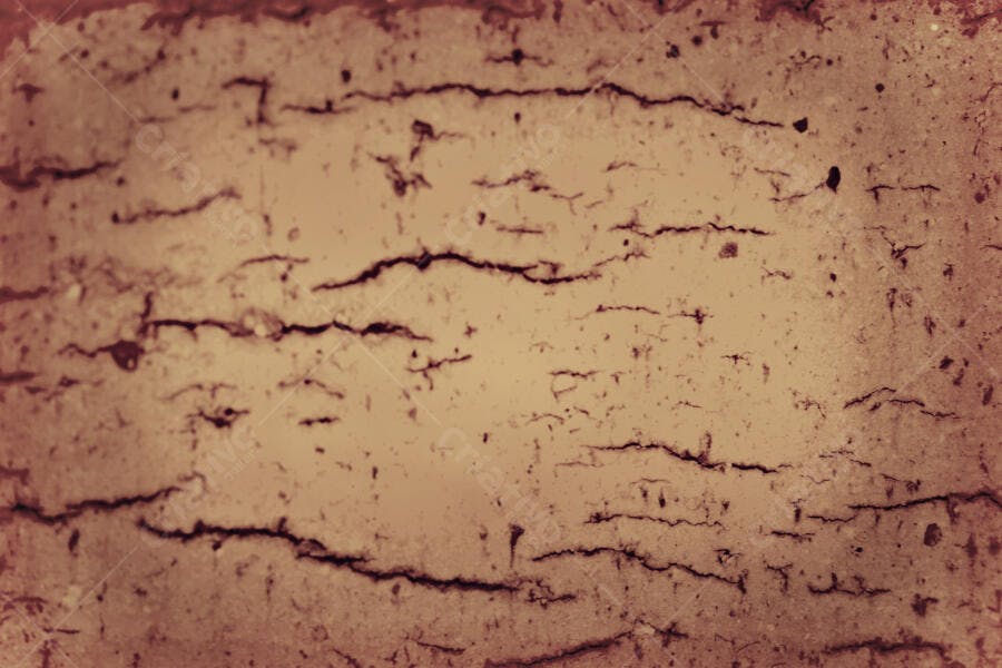 Textura de Madeira Rústica em Tons Terrosos