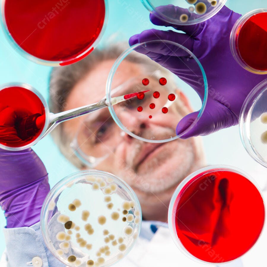 Cientista examinando culturas bacterianas em laboratório