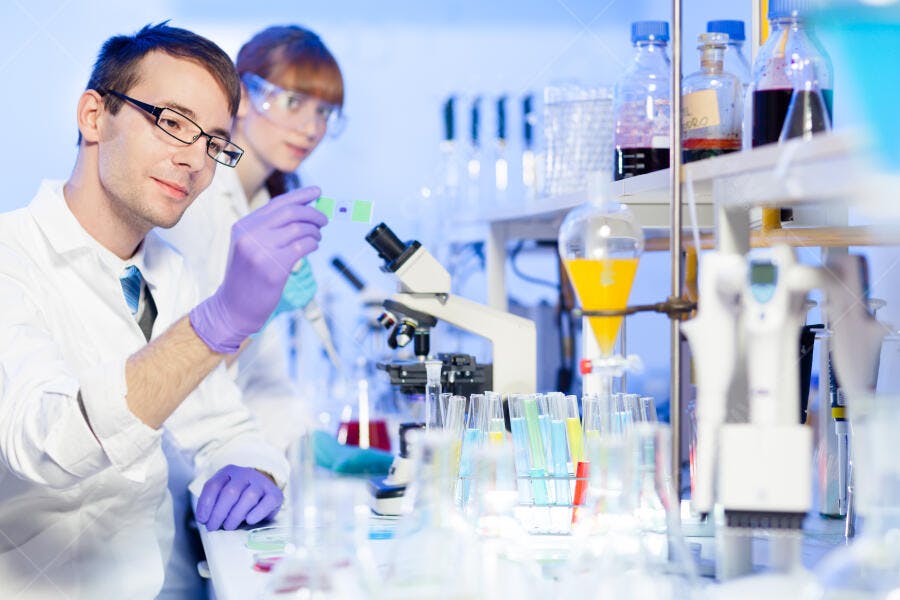 Cientistas analisando amostra em laboratório