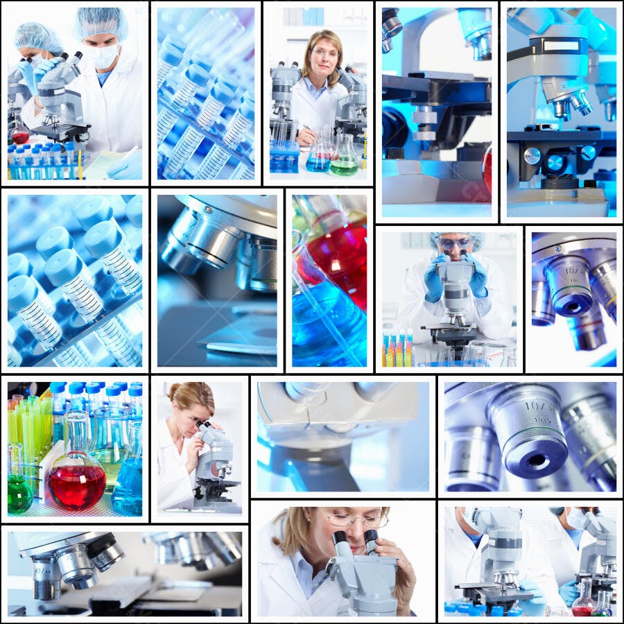 Cientistas em laboratório analisando amostras
