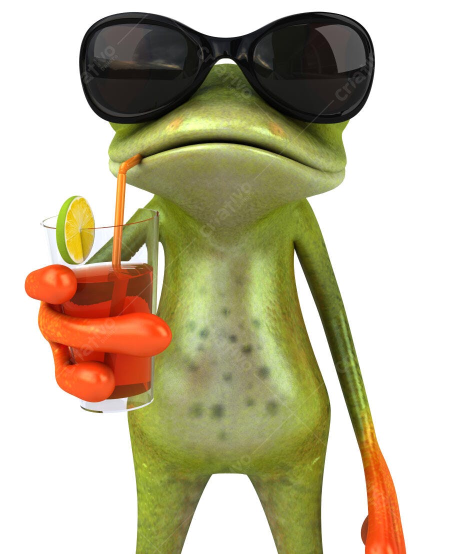 Sapo estiloso com bebida refrescante