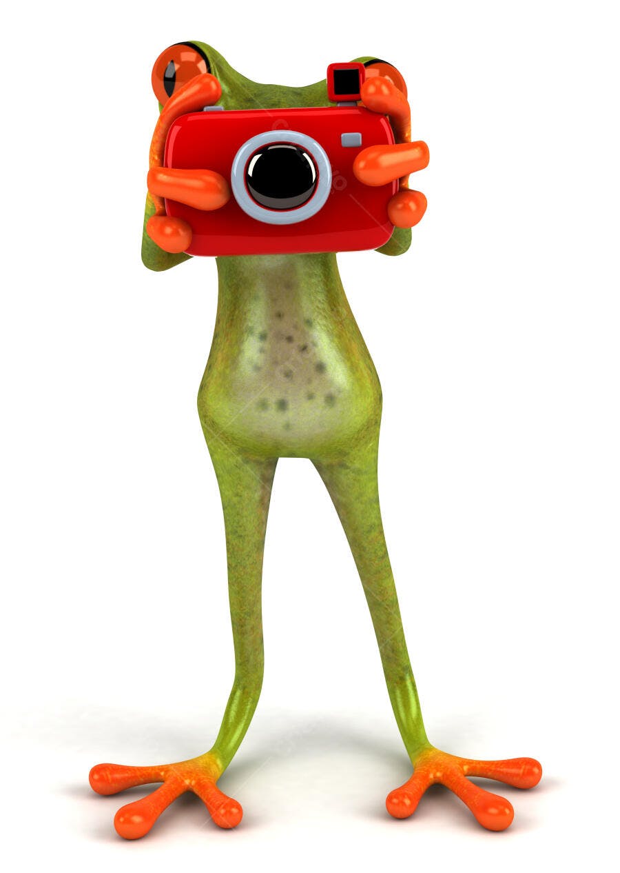 Sapo fotógrafo com câmera vermelha