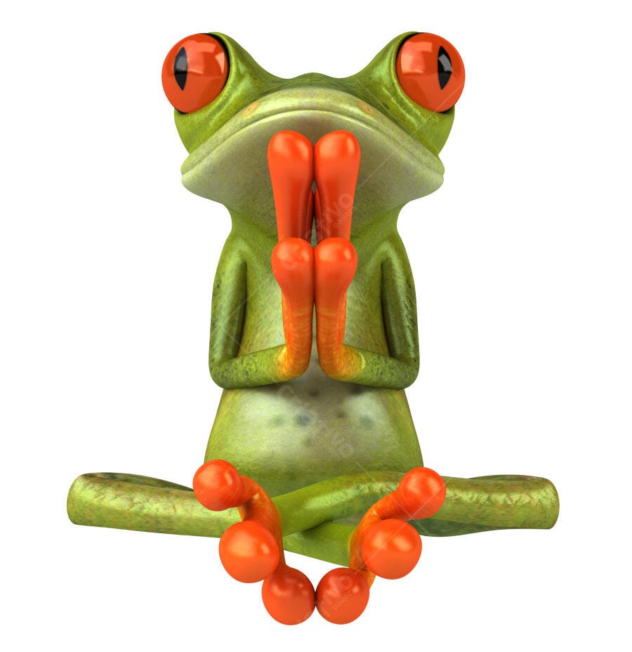 Sapo meditando em posição de lótus