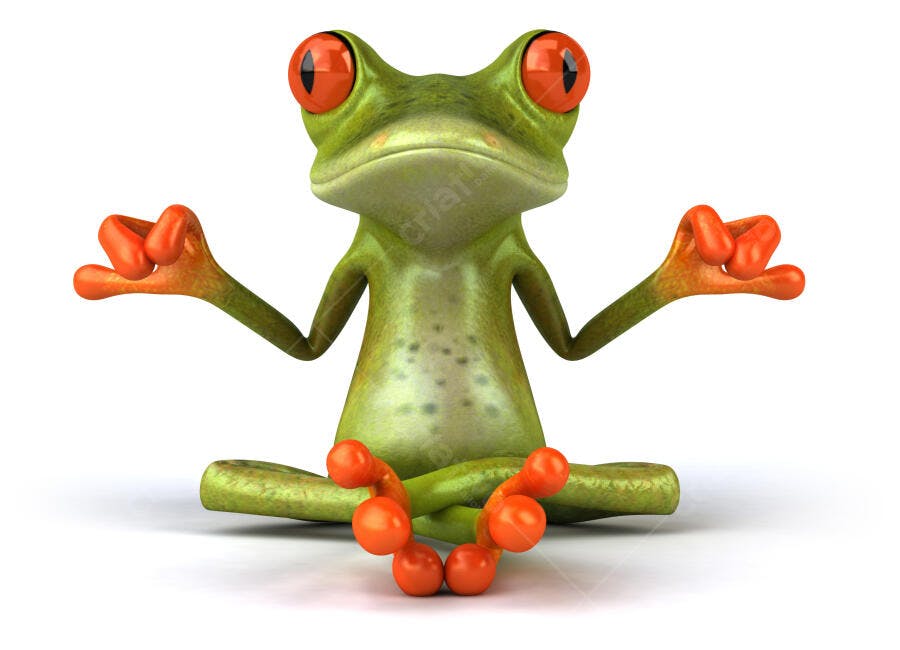 Sapo meditando em posição de lótus
