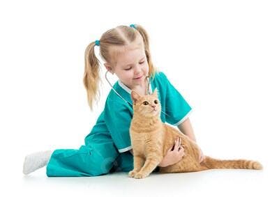 Menina Veterinária Examinando Gato Laranja