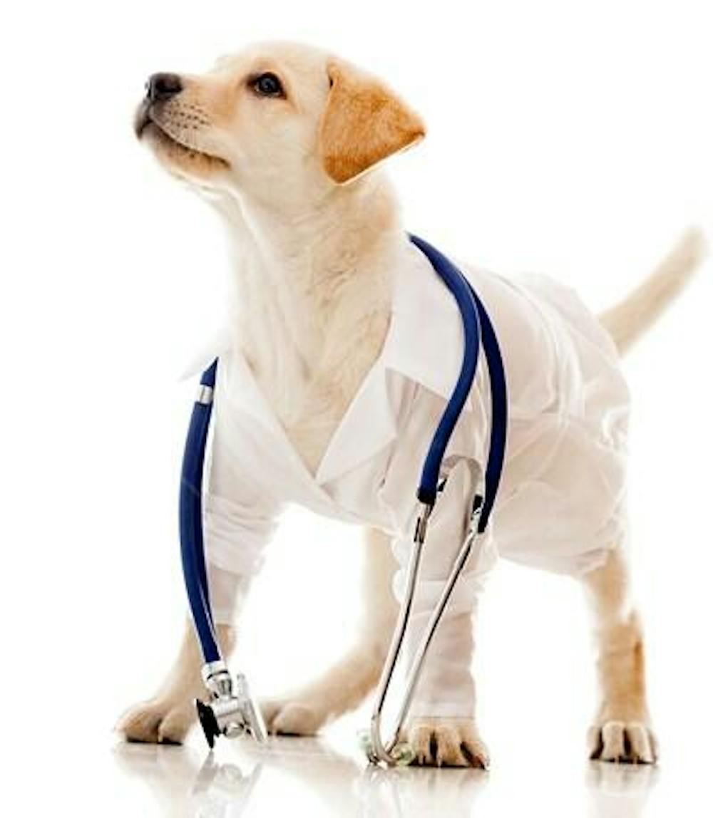 Veterinários (42)