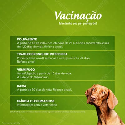 FLYER PETS SHOPP VACINAÇÃO