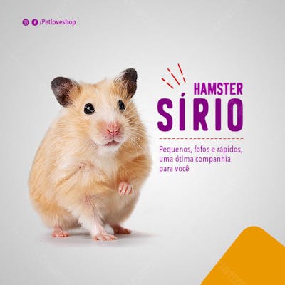 FLYER PETS SHOPP SÍRIO