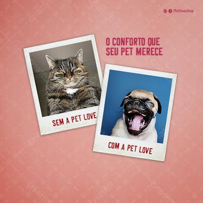 FLYER PETS SHOPP PET LOVE