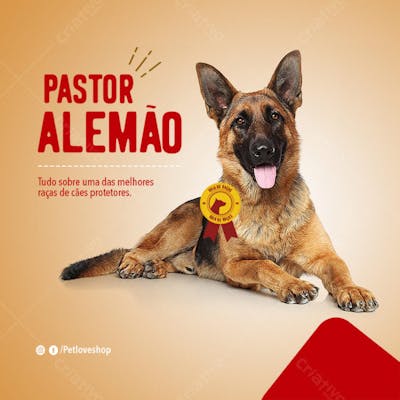 FLYER PETS SHOPP PASTOR ALEMÃO