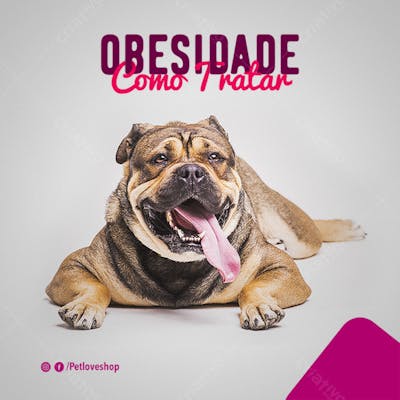 FLYER PETS SHOPP OBESIDADE PET
