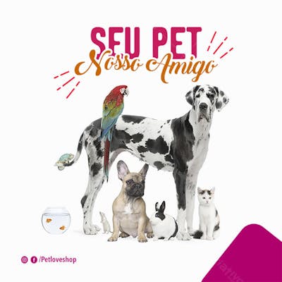 FLYER PETS SHOPP NOSSO AMIGO