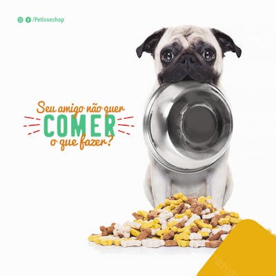 FLYER PETS SHOPP COME RAÇÃO
