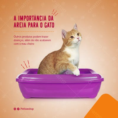 FLYER PETS SHOPP GATO