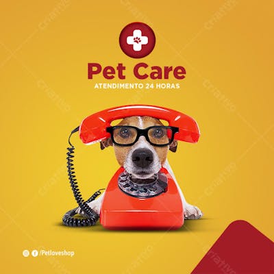 FLYER PETS SHOPP CARE